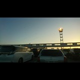 さくさく さくら