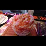 さくさく さくら