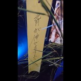 さくさく さくら